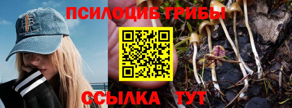Чита  Галлюциногенные грибы GOLDEN TEACHER  Вход с VPN 