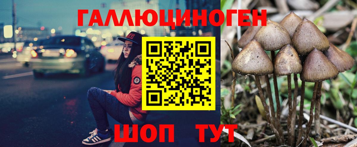 Псилоцибиновые грибы ЛСД Чита